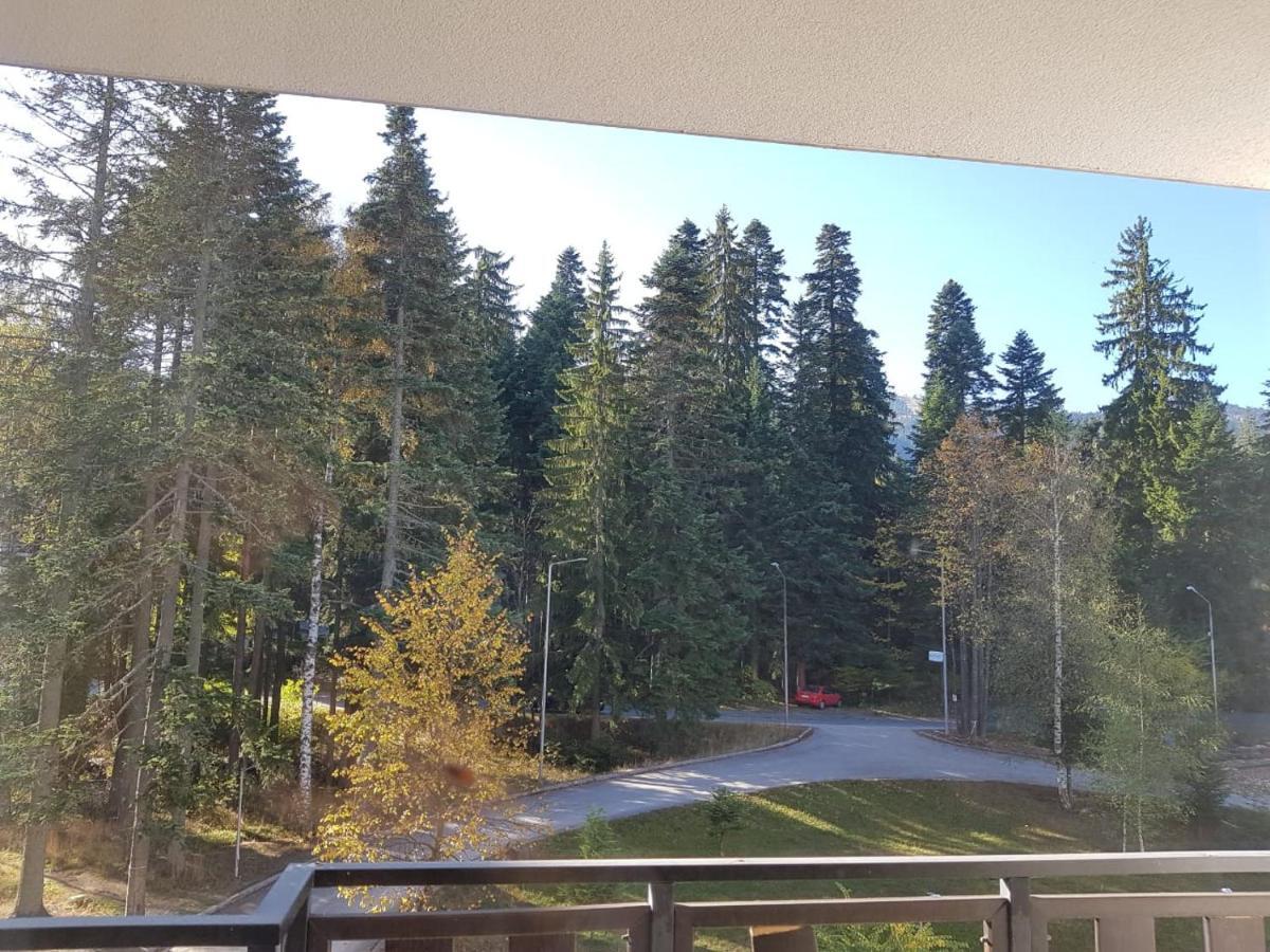 Apartments In Borovets Gardens Dış mekan fotoğraf